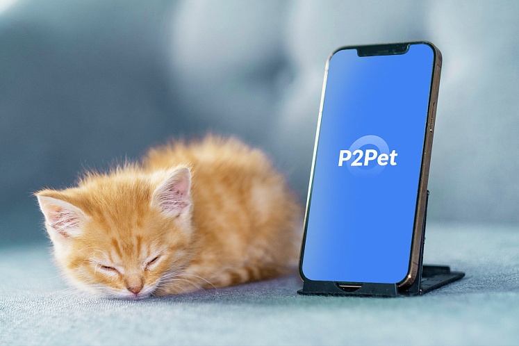 Мобильное приложение P2Pet